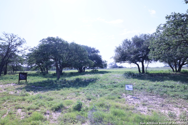 309 Firewheel Loop, Floresville, Texas image 3