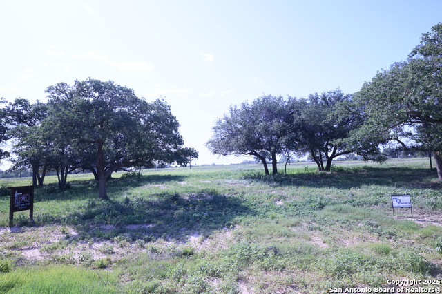 309 Firewheel Loop, Floresville, Texas image 4