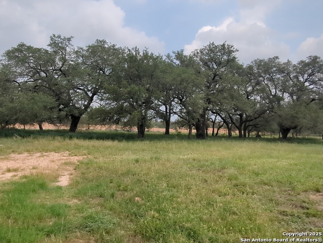 17815 County Road 163, Elmendorf, Texas image 3