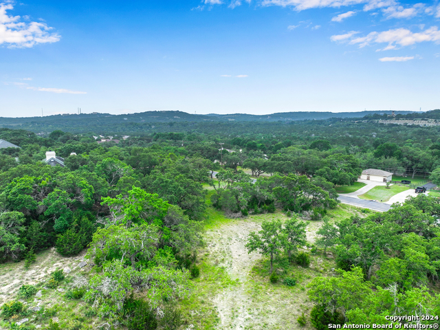 173 Berry Oaks, Bulverde, Texas image 18