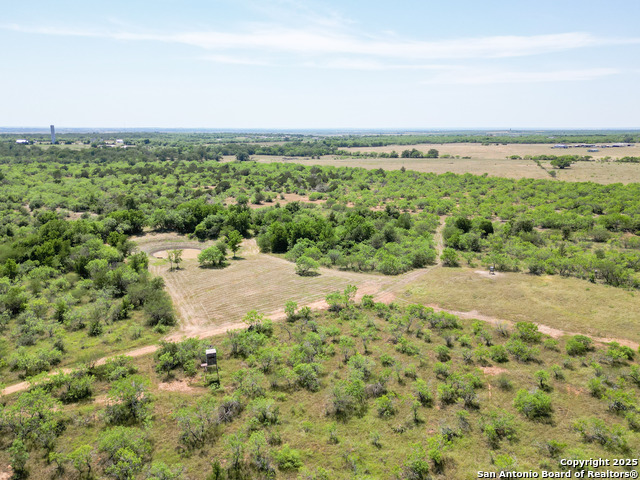 235 Acorn, Lockhart, Texas image 29