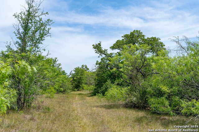 235 Acorn, Lockhart, Texas image 30