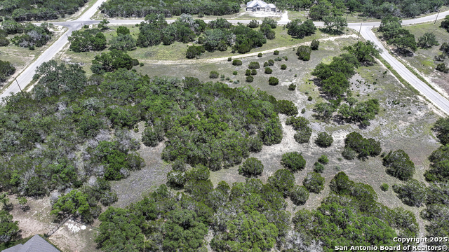 314 Serenity, Spring Branch, Texas image 13