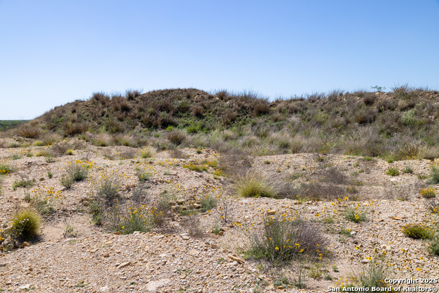 000 Us Hwy 83 N, Laredo, Texas image 15