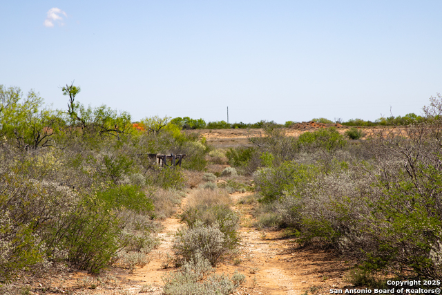 000 Us Hwy 83 N, Laredo, Texas image 19