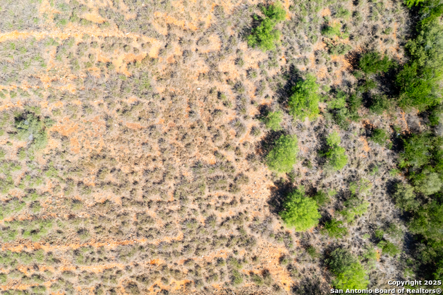 000 Us Hwy 83 N, Laredo, Texas image 34