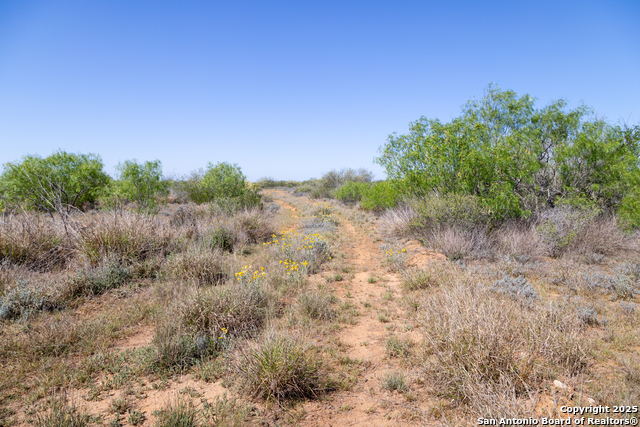 000 Us Hwy 83 N, Laredo, Texas image 6
