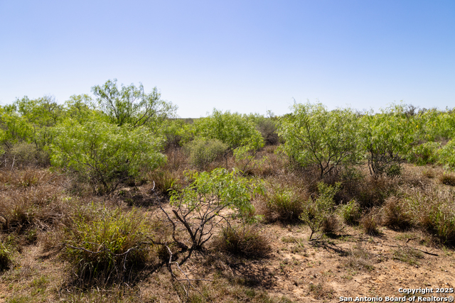 000 Us Hwy 83 N, Laredo, Texas image 7