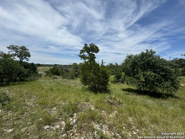 134 W Eli Chandler, Blanco, Texas image 3
