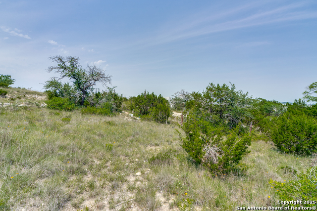 23206 Walker Ridge, San Antonio, Texas image 10