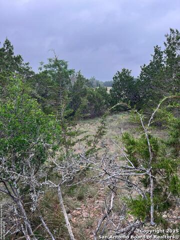 TBD Oak Ridge, Bandera, Texas image 10