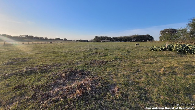 1897 County Road 326, Adkins, Texas image 1