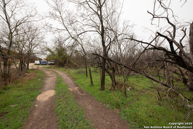 11207 Amhurst, San Antonio, Texas image 6