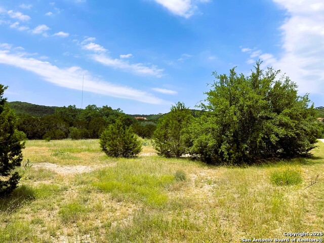 LOT 271 Pr 1743, Mico, Texas image 1