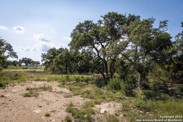 1772 Demi John Bend, Canyon Lake, Texas image 10