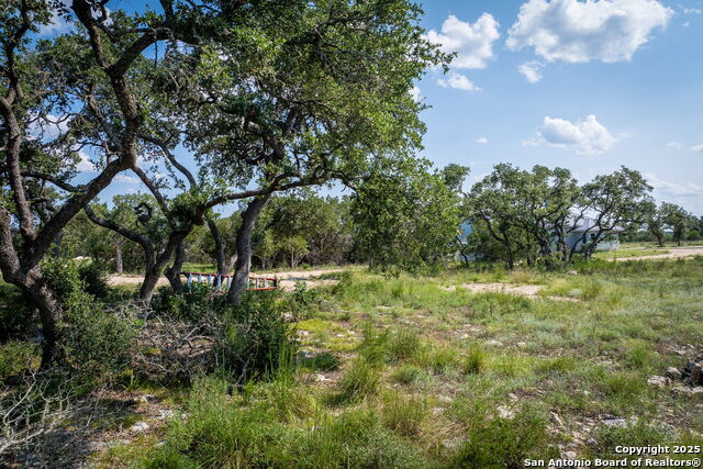 1772 Demi John Bend, Canyon Lake, Texas image 13