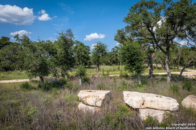 1772 Demi John Bend, Canyon Lake, Texas image 20