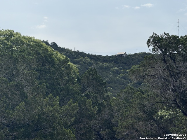 1608 Spring, Pipe Creek, Texas image 4