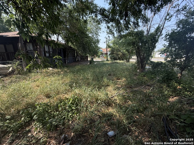 907 E Crockett, San Antonio, Texas image 2