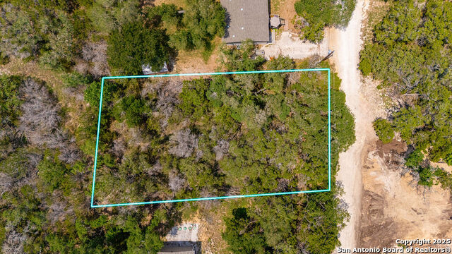 201 Country Haven, Spring Branch, Texas image 2