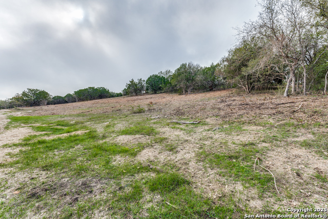 015 Wesp Way, Live Oak, Texas image 2