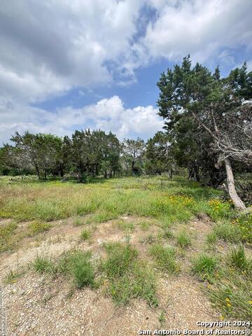 262 Wren Cir, Spring Branch, Texas image 3