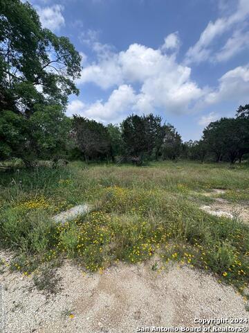 262 Wren Cir, Spring Branch, Texas image 5