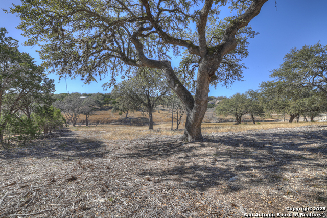 995 Five Oaks, Canyon Lake, Texas image 28