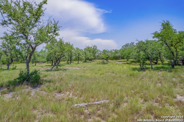 1552 Lake Ridge Blvd, Canyon Lake, Texas image 5