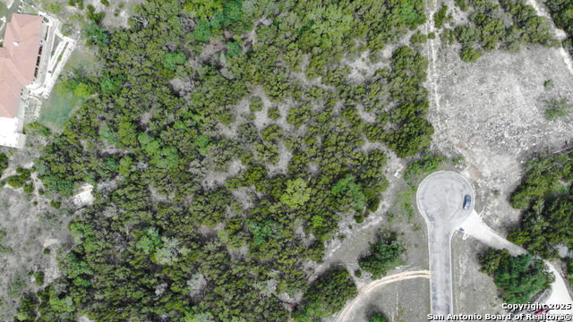 1013 El Capitan Trail, Canyon Lake, Texas image 1