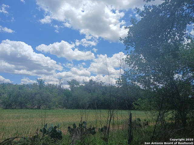 00 New Sulphur Springs, San Antonio, Texas image 4