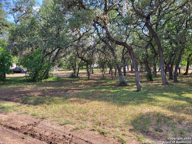 11760 Sunset Woods, Helotes, Texas image 10