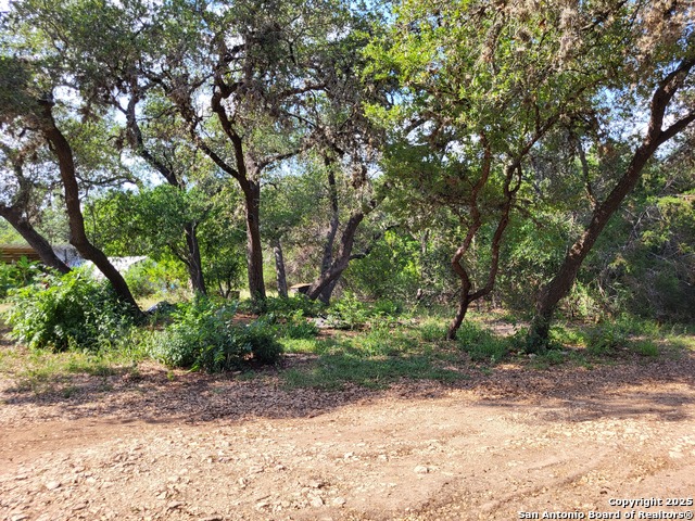 11760 Sunset Woods, Helotes, Texas image 13