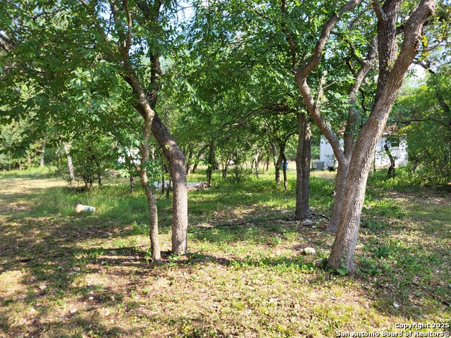 11760 Sunset Woods, Helotes, Texas image 14