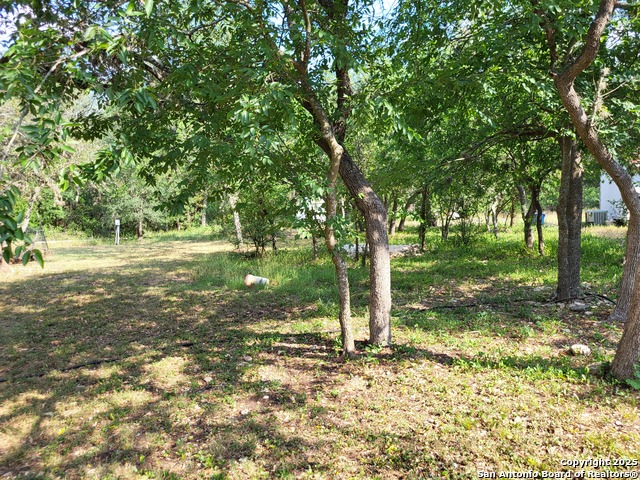 11760 Sunset Woods, Helotes, Texas image 15