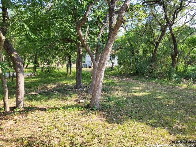 11760 Sunset Woods, Helotes, Texas image 16
