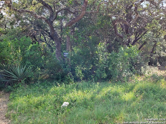 11760 Sunset Woods, Helotes, Texas image 20