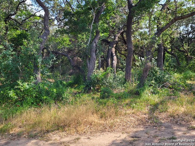11760 Sunset Woods, Helotes, Texas image 22