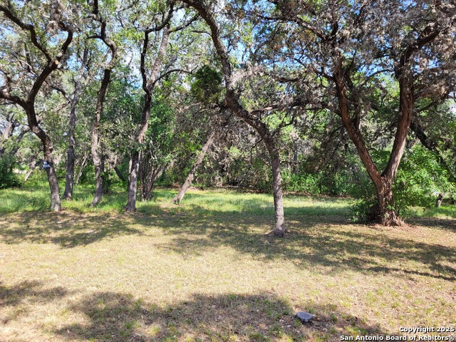 11760 Sunset Woods, Helotes, Texas image 28