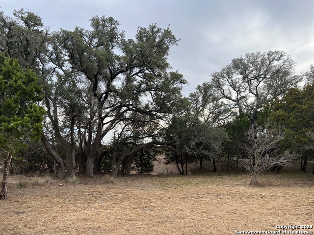 1131 Sunrise Pl, Spring Branch, Texas image 3
