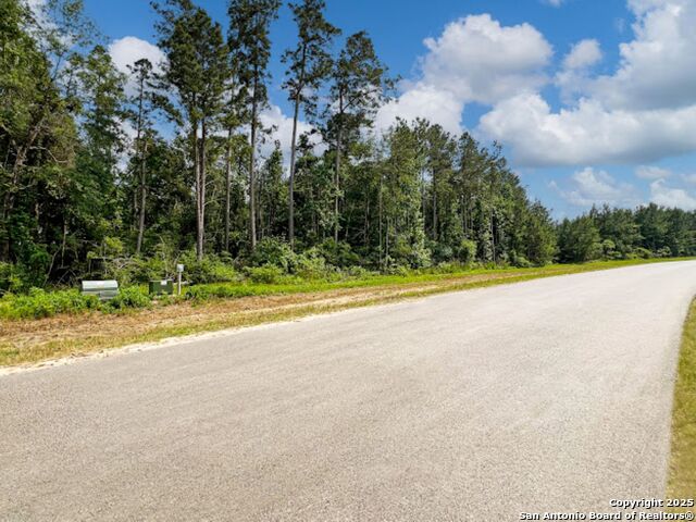 15761 Ridge Rock, WILLIS, Texas image 4