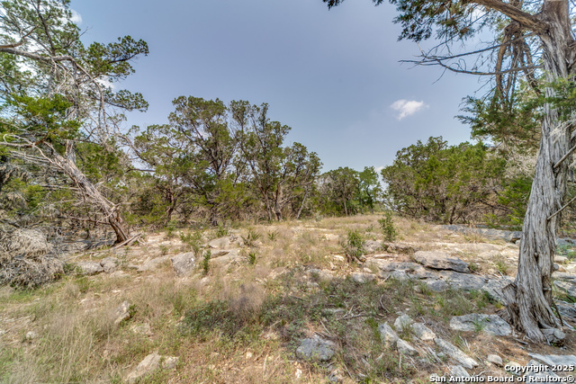 3 Monterey Trail, Boerne, Texas image 10