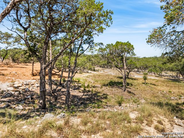 2553 George Pass, Canyon Lake, Texas image 19