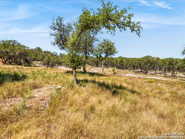 2553 George Pass, Canyon Lake, Texas image 5