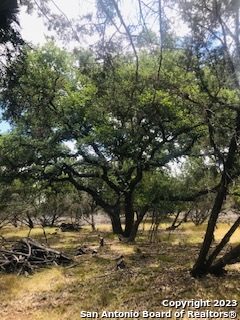 26 Mustang Crossing, Pipe Creek, Texas image 15