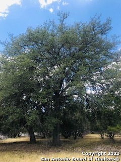 26 Mustang Crossing, Pipe Creek, Texas image 18