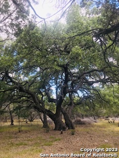 26 Mustang Crossing, Pipe Creek, Texas image 9