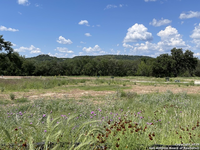 24630 Cliff Line, San Antonio, Texas image 1