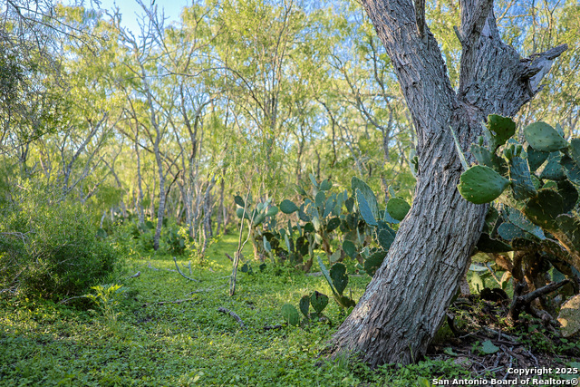 000 County Line Rd # 120, Beeville, Texas image 37