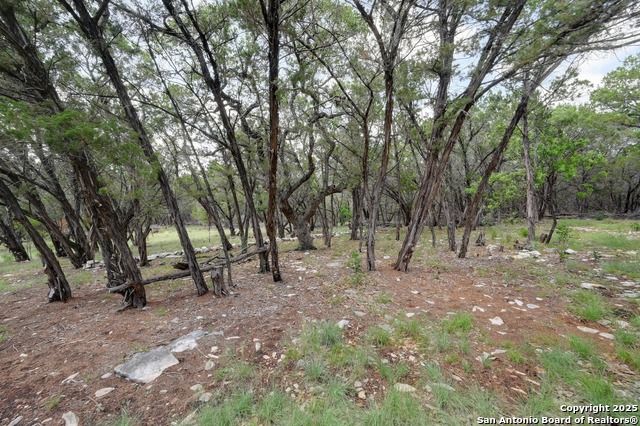 23211 S Breeze St, San Antonio, Texas image 23